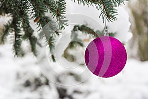 Pink Christmas tree ball on a snow-covered tree branch