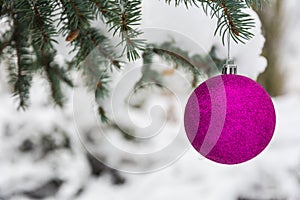 Pink Christmas tree ball on a snow-covered tree branch