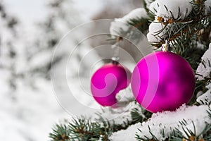 Pink Christmas tree ball on a snow-covered tree branch