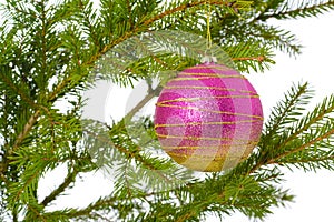 Pink christmas tree toy on green treel branch