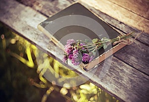 Pink clover flowers lie together with closed book on a wooden table