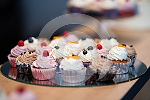 Pink, cocoa and white cupcakes on a flat plate with blurry background