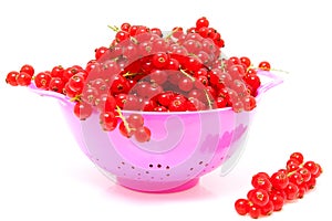 Pink colander with red currant berries