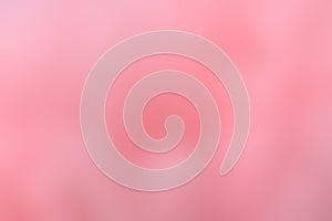 pink color soft focus abstract background