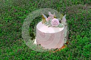 A pink colored cake on the grass