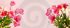 Pink colorful Holiday banner. Bouquet of pink tulips on pastel background. Mother`s day, Valentines Day, Birthday, Wedding