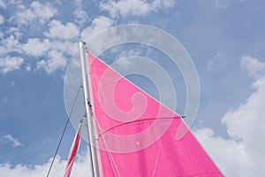 Pink colorful  sails of a sailboat