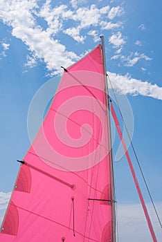 Pink colorful  sails of a sailboat