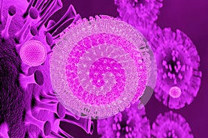 Pink coronavirus cells