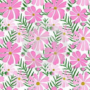 Pink cosmos flower seamless pattern Wildflower repeat background. Botanical meadow plant print