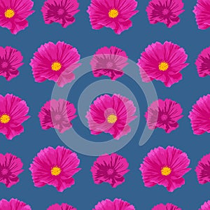 Pink Cosmos Flowers Seamless Pattern Repeated Background photo