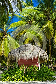 Pink cottage with a thatched roof on Caribbean beach