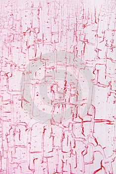 Pink cracked effect texture