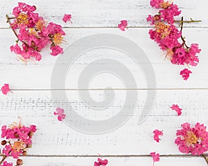 Pink crape myrtle flowers on white wood