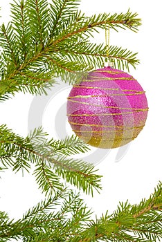 Pink cristmas tree toy on green treel branch