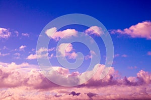 Pink cumulus clouds of sunset in a evening sky.