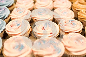 Pink Cupcake Close Up