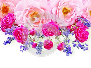 Pink curly roses, small vibrant pink roses and provence lavender