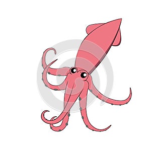 Pink cute squid.Illustration of squid.