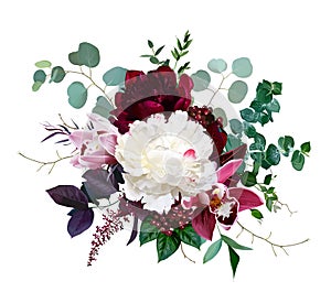 Pink cymbidium orchid flower, burgundy red and white peony