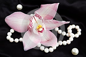 Pink Cymbidium Orchid with pearls on a black silk