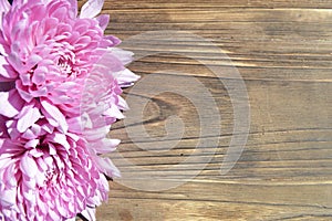 Pink Dahlia Background Rustic Wood