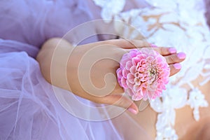 Pink dahlia flower close-up on the hand of a young woman. Background lilac airy tulle dress of the bride. Top view. Autumn flowers