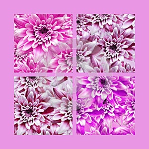 Pink dahlia flower design