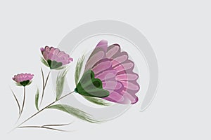 Pink Dahlia flower watercolor vector image