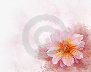 Pink Dahlia: Watercolor style flower illustration for background, invitation card, birthday card