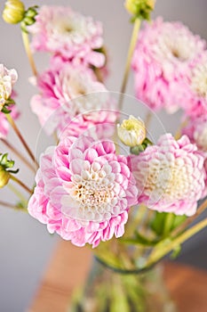 Pink dahlias in glass jug, neutral wall background. the work of the florist at a flower shop. Handsome fresh bouquet