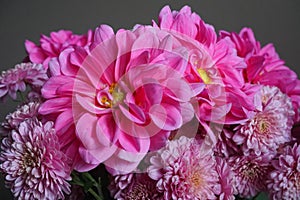 Pink dahlias with yellow centre and chrysanthemum flowers