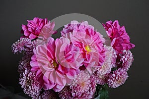 Pink dahlias with yellow centre and chrysanthemum flowers