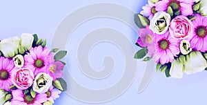 Pink daisies on a blu background. Spring flower arrangement.