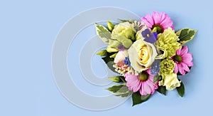 Pink daisies on a blu background. Spring flower arrangement.