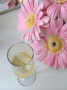 Pink Daisies And Bubbles