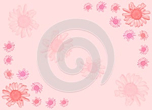 Pink Daisy background.