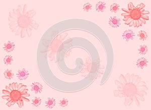 Pink Daisy background.
