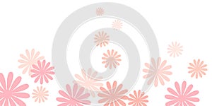 Pink daisy flowers background