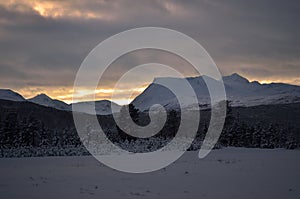 Pink dawn sky over frost ice and snowy winter forest and field