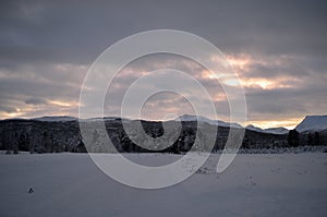 Pink dawn sky over frost ice and snowy winter forest and field