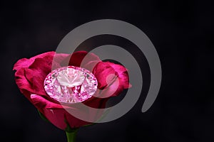 Pink diamond on rose.