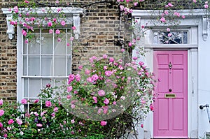 Pink door