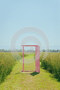 Pink door among the field against the sky