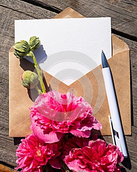 Pink double mallow flowers and an envelope. Branches with white summer flowers and an envelope on a wooden background