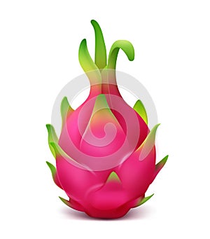 Pink dragon fruit