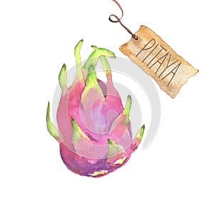 Pink dragon fruit with craft paper tag