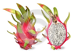 Pink dragon fruit. Fruitage of cactus is tropical fruit.