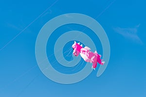 Pink dragon kite