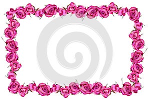 Pink dray roses flowers blossom frame